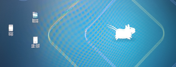 旧屏重影的样子