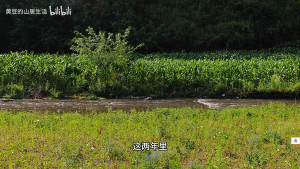 新屏的颜色比较舒服