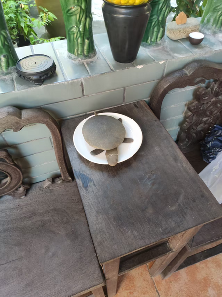 File:正果寺庙里的乌龟.png