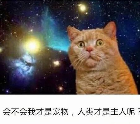 File:笑话-猫咪宇宙.jpg