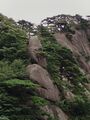 Thumbnail for version as of 11:47, 14 August 2025