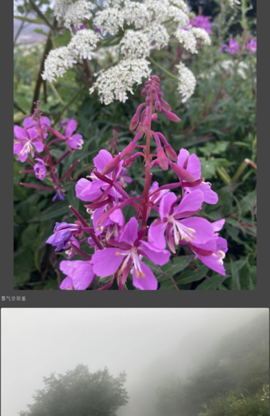 File:百花山 10.png