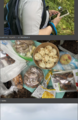 Thumbnail for version as of 17:36, 28 May 2025