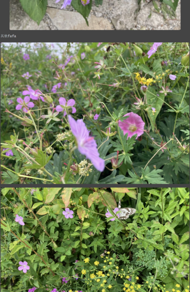 File:百花山 13.png