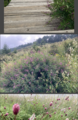 Thumbnail for version as of 17:36, 28 May 2025