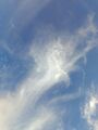 Thumbnail for version as of 11:47, 14 August 2025