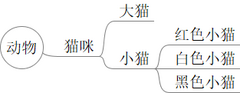 Ctrl v 后的结果