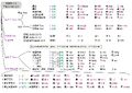 Thumbnail for version as of 17:30, 17 November 2025