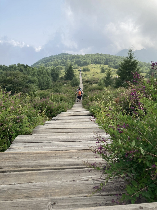 非常喜欢别人拍的这张百花山栈道的照片，和想象中的山坡高度重合