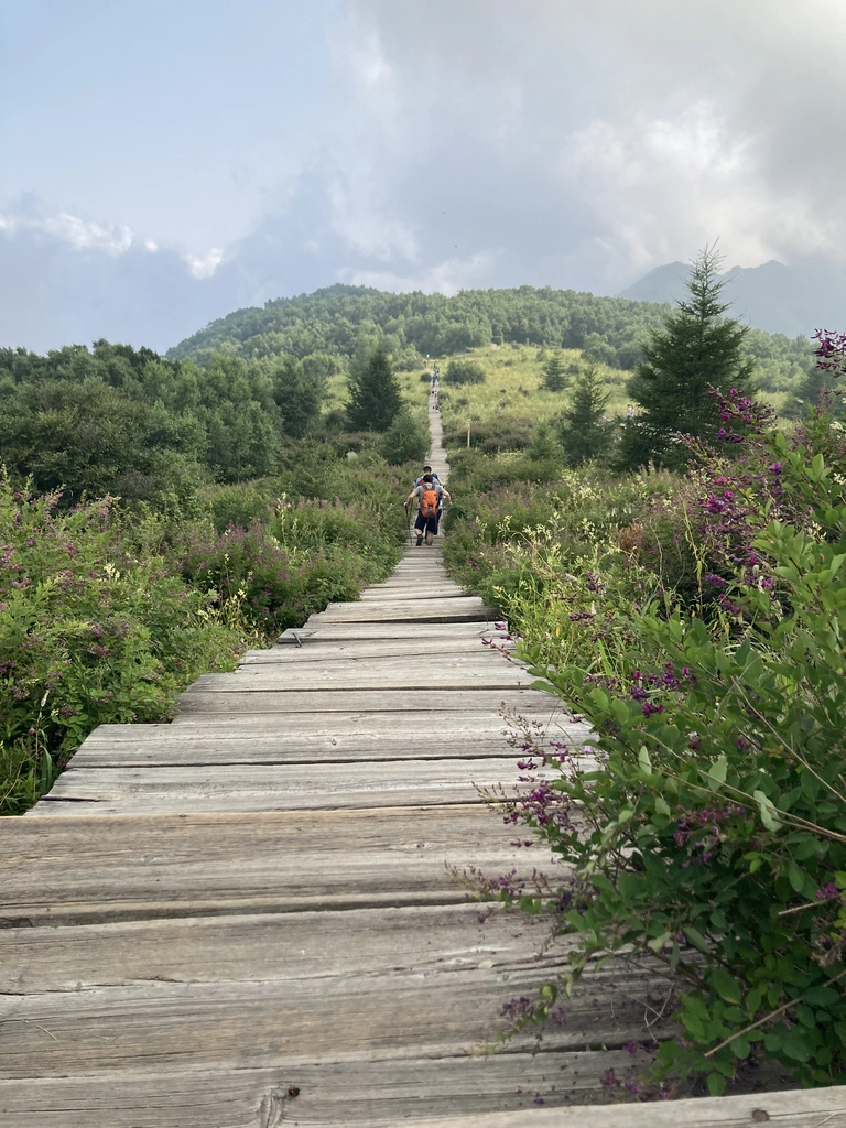 非常喜欢别人拍的这张百花山栈道的照片，和想象中的山坡高度重合