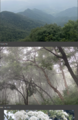 Thumbnail for version as of 17:36, 28 May 2025