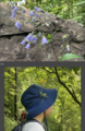 Thumbnail for version as of 17:36, 28 May 2025