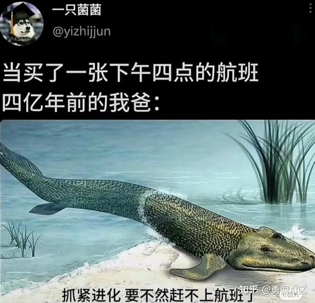 File:笑话-抓紧进化.jpg