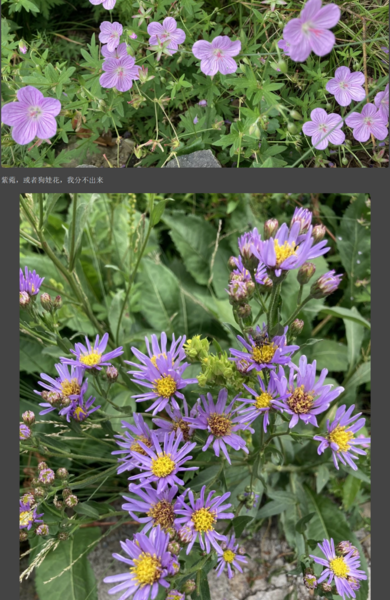 File:百花山 12.png