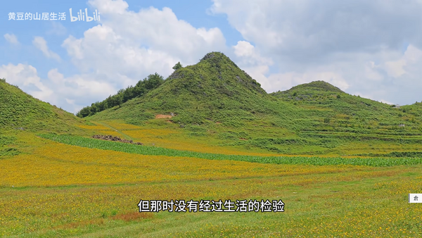 新屏色彩测试
