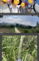 Thumbnail for version as of 17:36, 28 May 2025