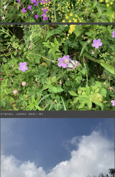 File:百花山 14.png