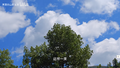 Thumbnail for version as of 22:48, 31 January 2026