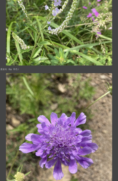 File:百花山 02.png